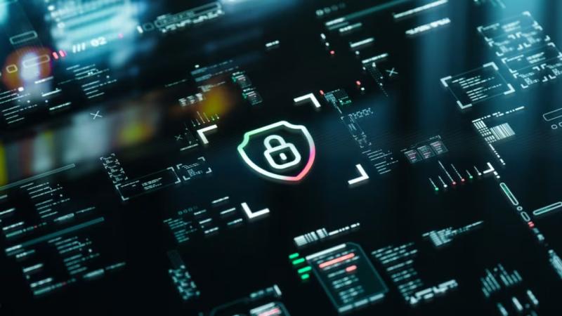 黑龙江软件开发公司